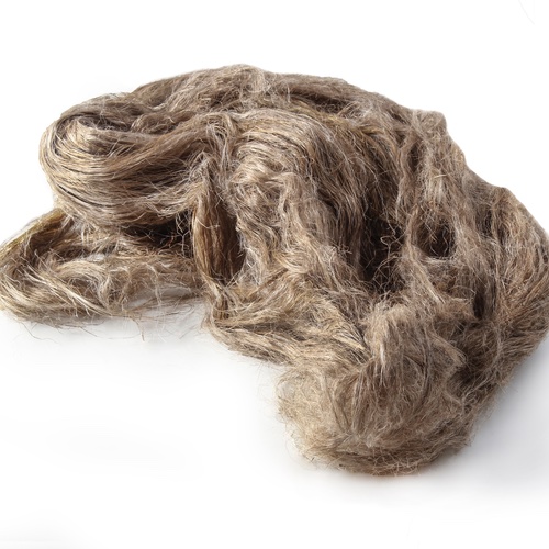 Fibres de chanvre